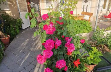 Apartments Tomislav - Photo 31