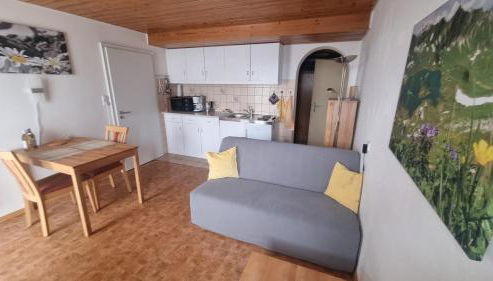 2 Zimmer Appartement Terrasse mit Bergblick - Foto 2