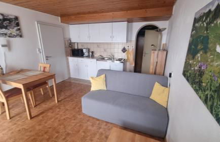 2 Zimmer Appartement Terrasse mit Bergblick - Foto 2