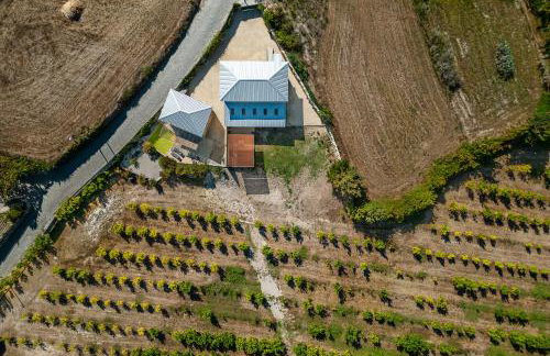 Lemon Villa with Private Indoor Heated Pool - Oporto Lemon Farm, near Porto - Foto 76