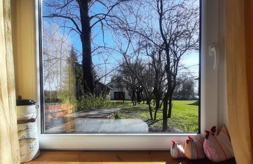 Nasza Wioska - Foto 43