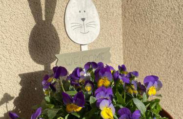 Pogodna Zagroda-Dom na Kaszubach & Strefa Spa - Foto 76