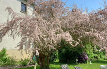 Sylvias Burgblick - Foto 3