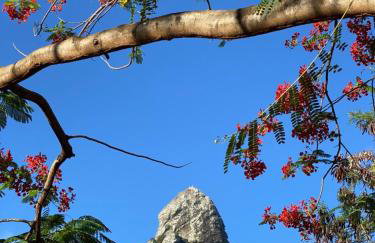 Casa do Ney - Foto 41