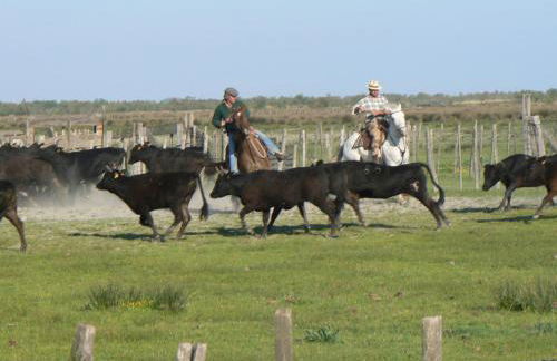 L'Espitalet - Foto 13