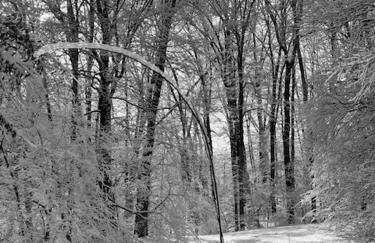 Perfect Vermont Battenkill Log Cabin - Photo 24