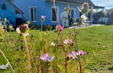 Haus "Kliffruhe" - Foto 34