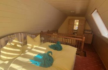 Ostseekrabbe - Foto 8