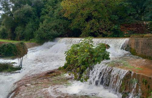 Carregã Water mill - Foto 20