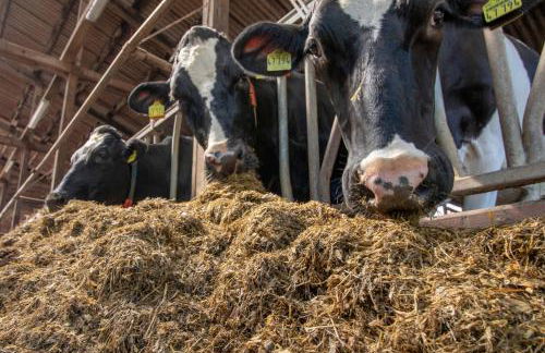 Huxfeld-Hof - Landlust - Foto 24