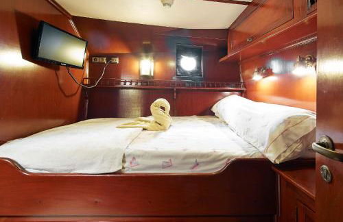 Southern Cross - Foto 39