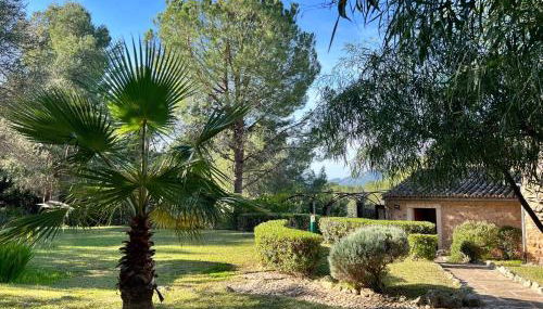 Royal hideaway & retreat Son Font - Foto 3, Garden