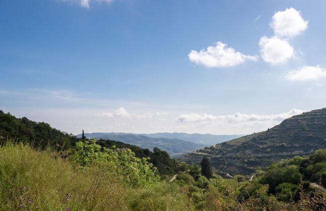 Sanders Arsorama - Cute 1-bdr Apt w/ Shared Patio - Foto 20