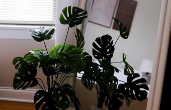 Chicago Chic, Cozy 1BR with Stylish Workspace - Photo 27