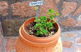 Eftychia Cottage House - Foto 16