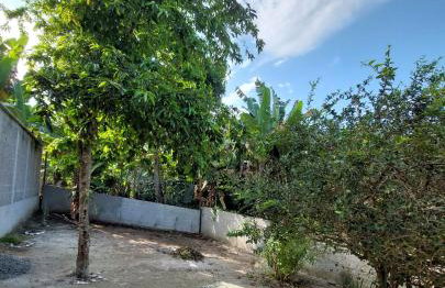 Casa Passarinhos - Foto 10
