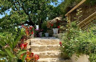 Microfattoria Lenta - Foto 10