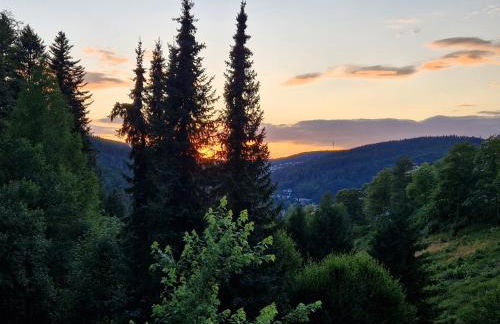 Ferienwohnung in Triberg am Waldrand - idyllisch, ruhig, erholsam - Foto 29