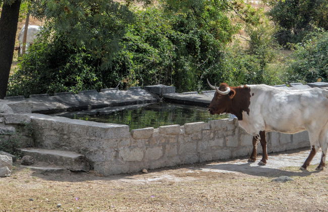 Tour in Alpedrete - Foto 1