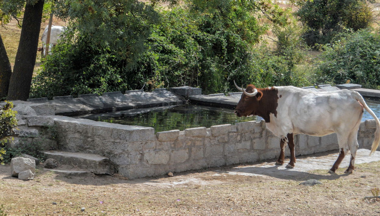 Tour in Alpedrete - Foto 1