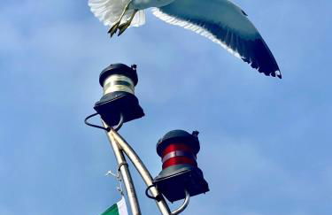 Bali Loft da Prainha - Photo 35