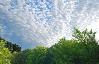 Villa Maud - Foto 29