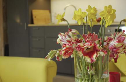 Kiekutsland - Foto 37