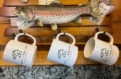 Spacious Salmon River Waterfront Lodge for 6 - Foto 4