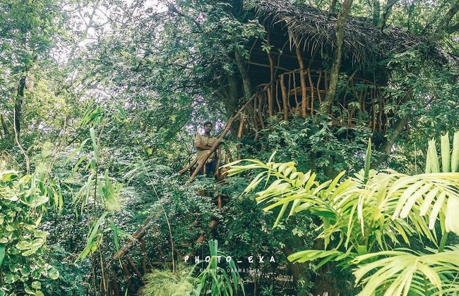 Woodland Sanctuary - Photo 9