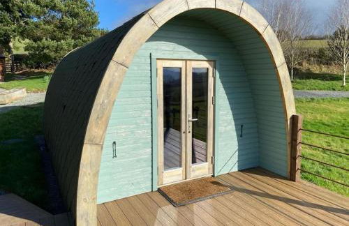 The Pod Patch - Trelerney Pod - Foto 7