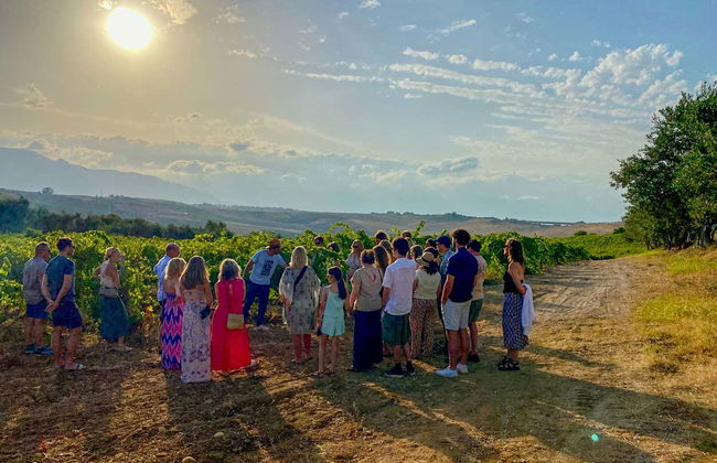 Visite d'un vignoble + Dégustation de produits typiques - Photo 4