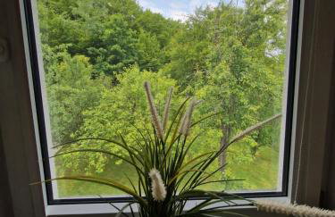 Tetmajera View & Garden - Foto 23