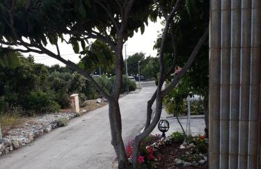 Apartments Neda - Foto 22