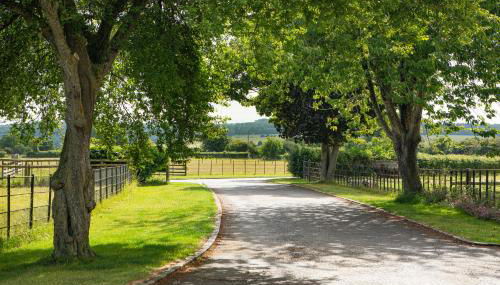 Knapp Cottage - Foto 2