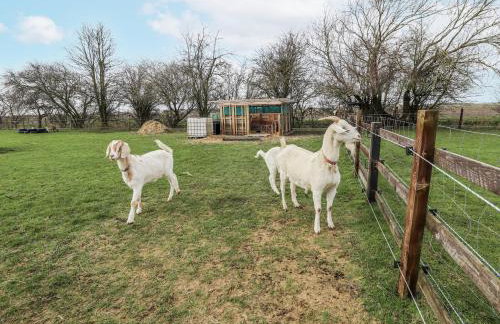 Mardi Gras - Foto 15