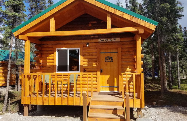 Denali Tri-Valley Cabins - Foto 43