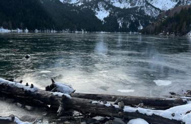 Le petit Espot - Photo 10