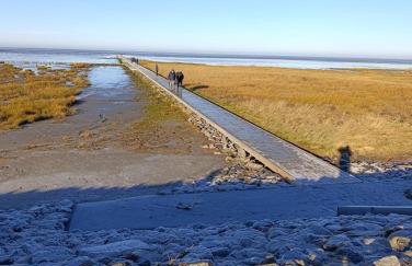 Deichperle Friedrichskoog Spitze - Foto 26