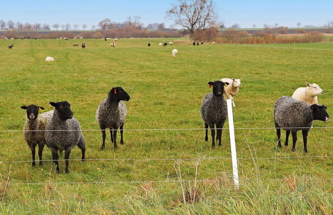 4 Person Holiday Home in Laholm - Photo 21