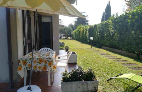 Prato Verde - Girasole - Foto 23