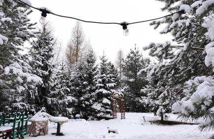 Dom z basenem nad Narwią - Foto 31