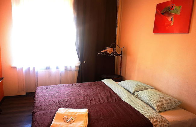 Orange Studio - Photo 16