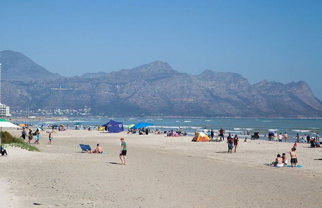 Loddeys Ocean View Apartments - Photo 10