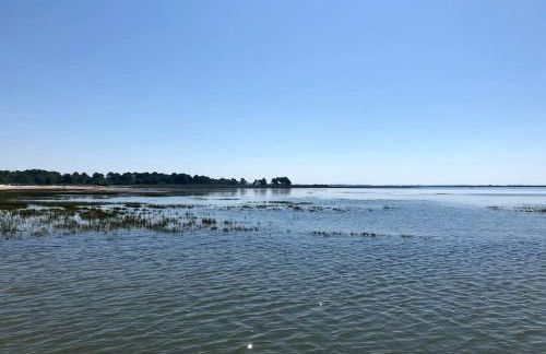 Au calme, maison T3 neuf avec Jardin à Cassy - Foto 25