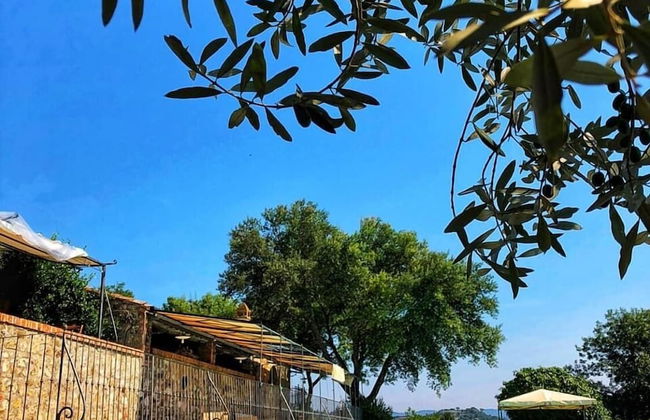 Agriturismo Piatina - Foto 27