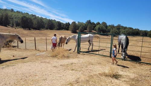 Refugio del cañon - Photo 5