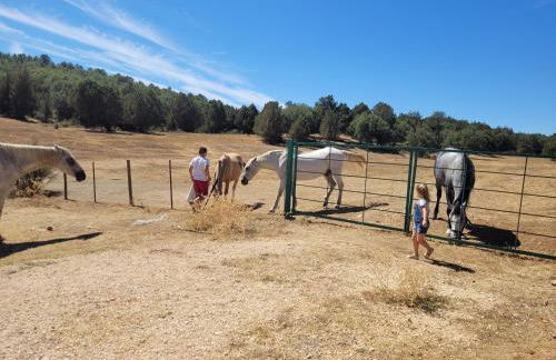 Refugio del cañon - Photo 5