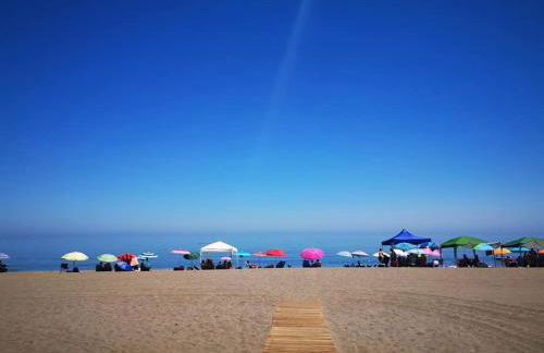 Beach Diamond - Photo 25