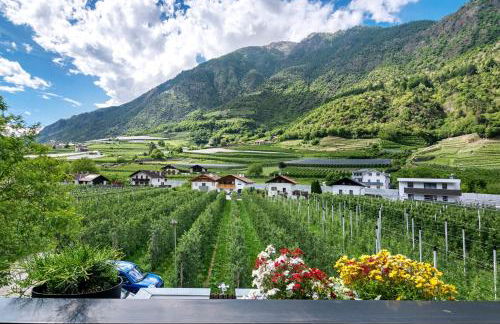 Bauernhof Sackgut - Foto 47