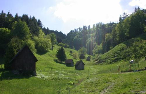 Apartment Rose - Photo 30